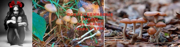 а пвп мука Верхний Тагил