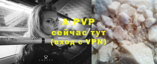 стафф Бородино
