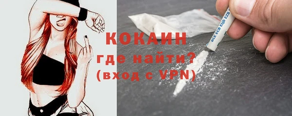 стафф Бородино