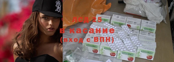 стафф Бородино