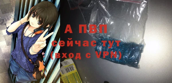 стафф Бородино