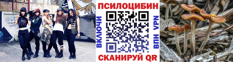 darknet наркотические препараты  Гудермес  Галлюциногенные грибы Magic Shrooms 